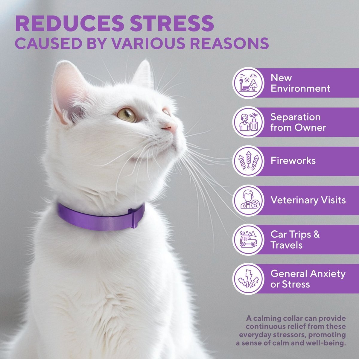 Anti anxiety outlet collar for cats