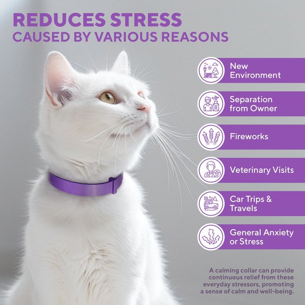 Picture of Out of Stock - BELOVED PETS Calming Collar & Anti Anxiety Products ...