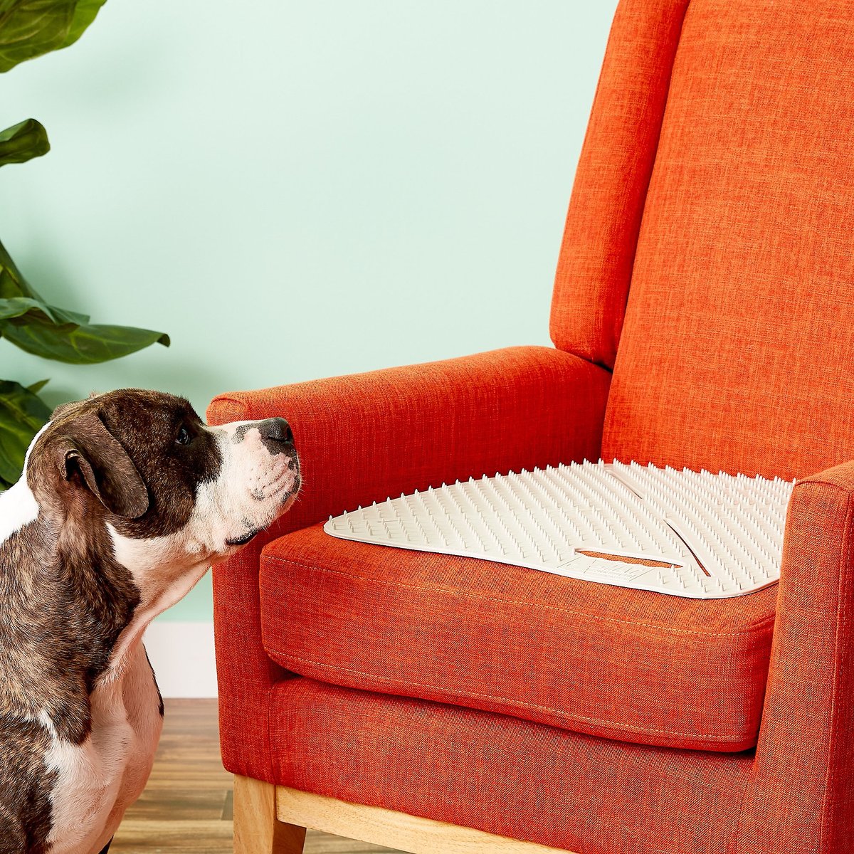 MAMMOTH XMat Extra Flexible Pet Training Mat, 18in