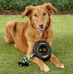 Mammoth TireBiter Tire & Rope Dog Toy, Small slide 2 of 3