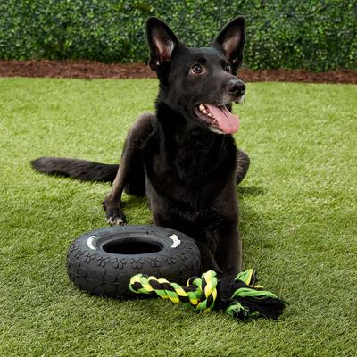 Show full view: Mammoth TireBiter Tire & Rope Dog Toy, Large slide 2 of 5