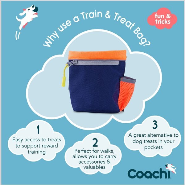 Holdall Coachi Train & Treat Blue Coral main image 0