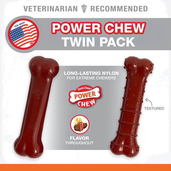 Nylabone Power Chew Basted Blast Dual Flavored Dog Chew Toys