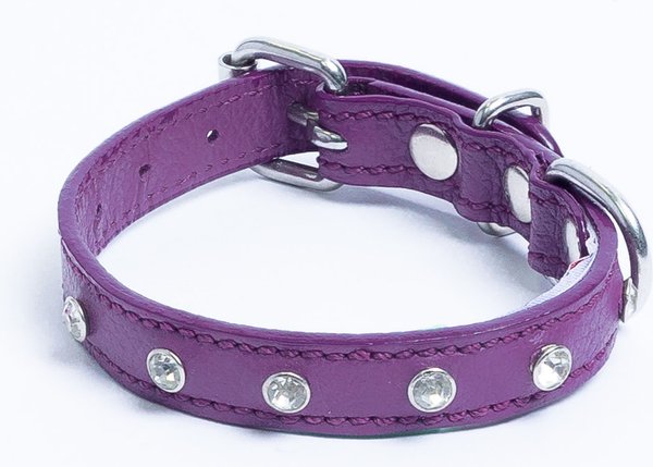 Angel Athens Rhinestone Standard Dog Collar, Purple, 10 x 1/2-in slide 1 of 2