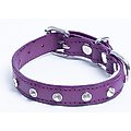 Angel Athens Rhinestone Standard Dog Collar, Purple, 10 x 1/2-in
