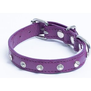 Angel Athens Rhinestone Standard Dog Collar, Purple, 10 x 1/2-in