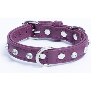 Angel Athens Rhinestone Standard Dog Collar, Purple, 12 x 5/8-in