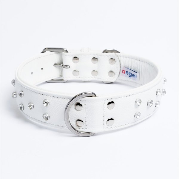 Cinderella top dog collar