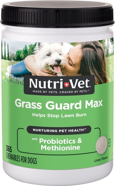 Nutri-Vet Grass Guard Max Chewable Tablets Urinary & Lawn Protection Supplement for Dogs, 365 count slide 1 of 6