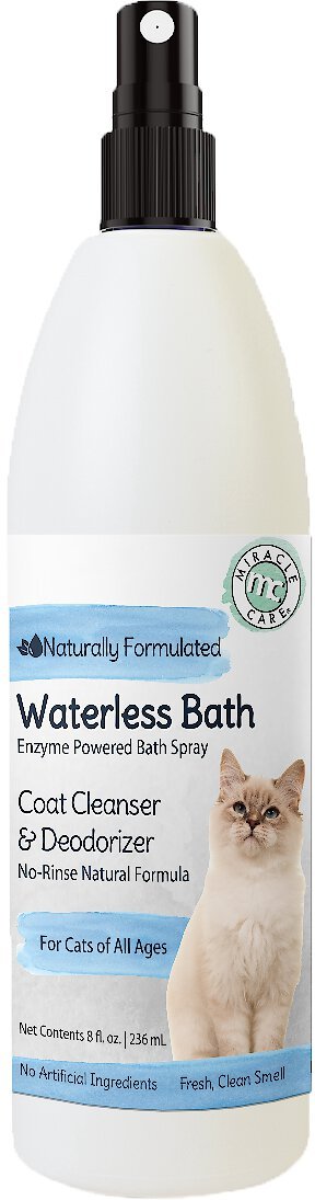 Waterless bath cheap for cats