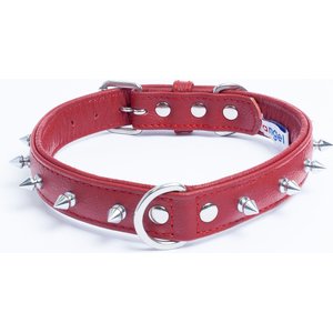 Angel Rotterdam Single-line Spiked Standard Dog Collar, Red, 14 x 3/4-in