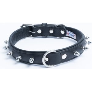 Angel Rotterdam Single-line Spiked Standard Dog Collar, Black, 22 x 1-in