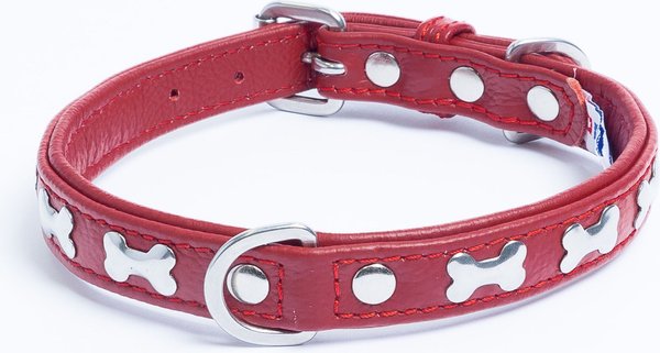 Angel Rotterdam Bones Standard Dog Collar, Red, 14 x 3/4-in slide 1 of 3