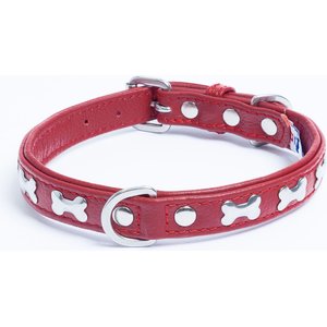 Angel Rotterdam Bones Standard Dog Collar, Red, 14 x 3/4-in
