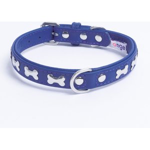 Angel Rotterdam Bones Standard Dog Collar, Blue, 14 x 3/4-in