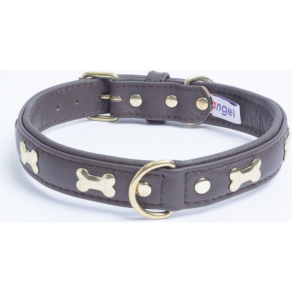 Angel Leather Spiked Dog Collar Amsterdam - Chocolate Brown