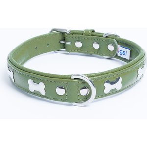 Angel Rotterdam Bones Standard Dog Collar, Green, 20 x 1-in