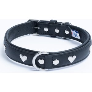 Angel Rotterdam Hearts Standard Dog Collar, Black, 22 x 1-in