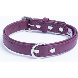 Angel Alpine Padded Leather Standard Dog Collar, Purple, 14 x 3/4-in