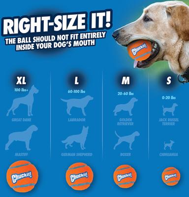 Show full view: Chuckit! Double Pack Tennis Ball Dog Toy, Medium slide 4 of 8