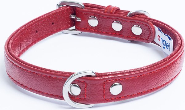 Angel Alpine Padded Leather Standard Dog Collar, Red, 16 x 3/4-in slide 1 of 3