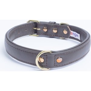 Angel Alpine Padded Leather Standard Dog Collar, Brown, 20 x 1-in