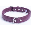 Angel Alpine Padded Leather Standard Dog Collar, Purple, 22 x 1-in