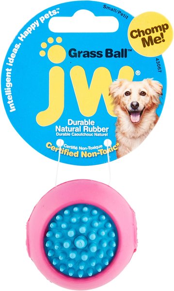 JW Pet Grass Ball Dog Toy, Color Varies, Small slide 1 of 8