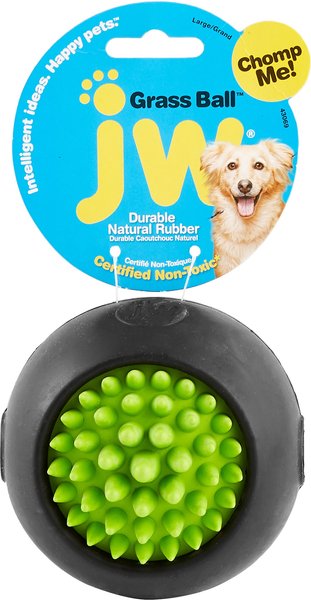 JW Pet Grass Ball Dog Toy, Color Varies, Large slide 1 of 8