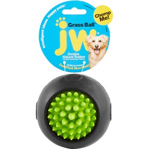 JW Pet Grass Ball Dog Toy, Color Varies, Large