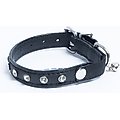 Angel Athens Rhinestone Standard Cat Collar, Black, 10 x 1/2-in