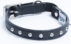 Angel Studded Standard Cat Collar, Black, 10 x 1/2-in