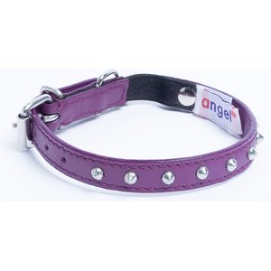 Angel Studded Standard Cat Collar, Purple, 12 x 1/2-in