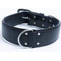 Angel Dallas Standard Dog Collar, 26 x 2-in