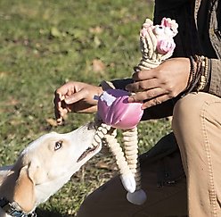 Pet Life Jute & Rope Giraffe Pig Dog Toy, Pink slide 2 of 3
