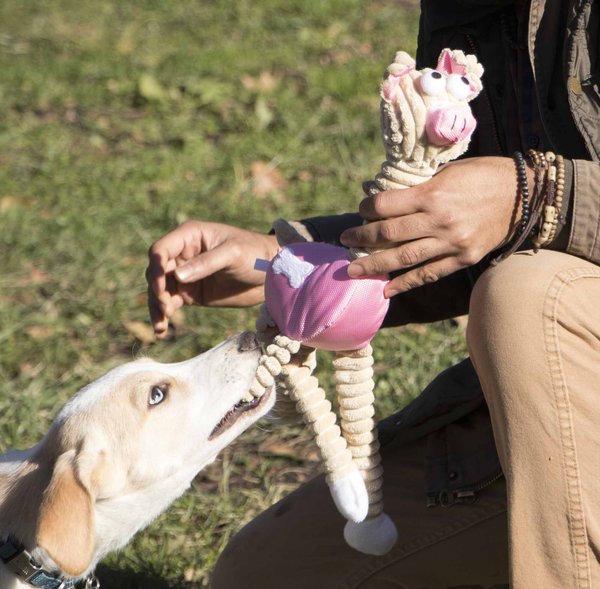 Pet Life Jute & Rope Giraffe Pig Dog Toy, Pink