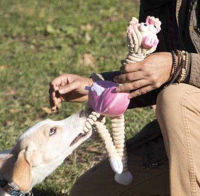 Show full view: Pet Life Jute & Rope Giraffe Pig Dog Toy, Pink slide 2 of 4