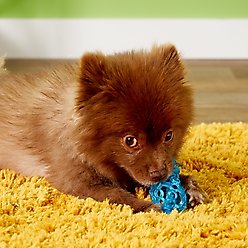 JW Pet Play Place Lattice Dog Ball, Color Varies, Small slide 2 of 2
