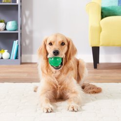 JW Pet Play Place Squeaky Dog Ball, Color Varies, Medium slide 2 of 4
