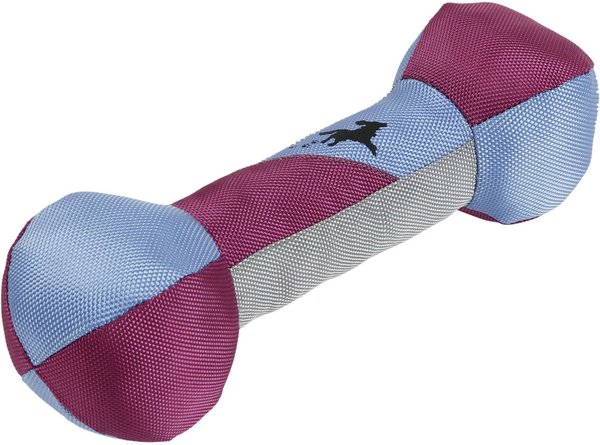 Pet Life Active-Fetch Nylon Floatation Bone Dog Toy, Purple/Blue