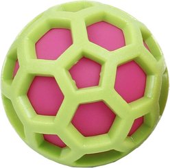 Pet Life DNA Bark TDurable Squeaky Dog Toy, Green / Pink
