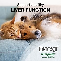 Nutramax Denosyl Tablets Liver & Brain Supplement for Small Dogs & Cats, 30 count slide 2 of 9