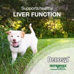 Nutramax Denosyl Tablets Liver & Brain Supplement for Medium Dogs, 30 count slide 2 of 9