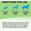 NUTRAMAX Denosyl Tablets Liver & Brain Supplement for Large Dogs, 30 count - Chewy.com