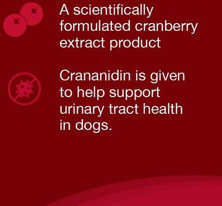 Nutramax cranberry hotsell