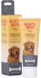 Burt's Bees Care Plus + Charcoal & Coconut Oil Brightening Toothpaste, 2.5-oz tube