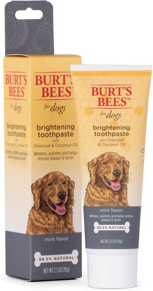 Burt's Bees Care Plus + Charcoal & Coconut Oil Brightening Toothpaste, 2.5-oz tube slide 1 of 4