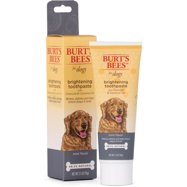 BURT'S BEES Care Plus + Tartar Control Toothpaste with Grapefruit Seed