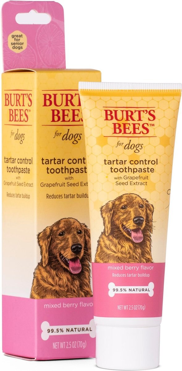 BURT'S BEES Care Plus + Tartar Control Toothpaste with Grapefruit Seed Extract, 2.5oz tube