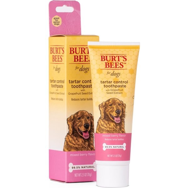 BURT'S BEES Care Plus + Tartar Control Toothpaste with Grapefruit Seed